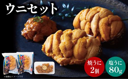 塩うに 80g 焼うに 80g×2 セット 雲丹 うに ウニ uni sea urchin 寿司 焼き雲丹 焼雲丹 汐うに 潮うに 海鮮 魚貝類 魚介類 キタムラサキウニ 小分け ウニ丼 ご飯 白米 おつまみ 三陸産 岩手県 大船渡市