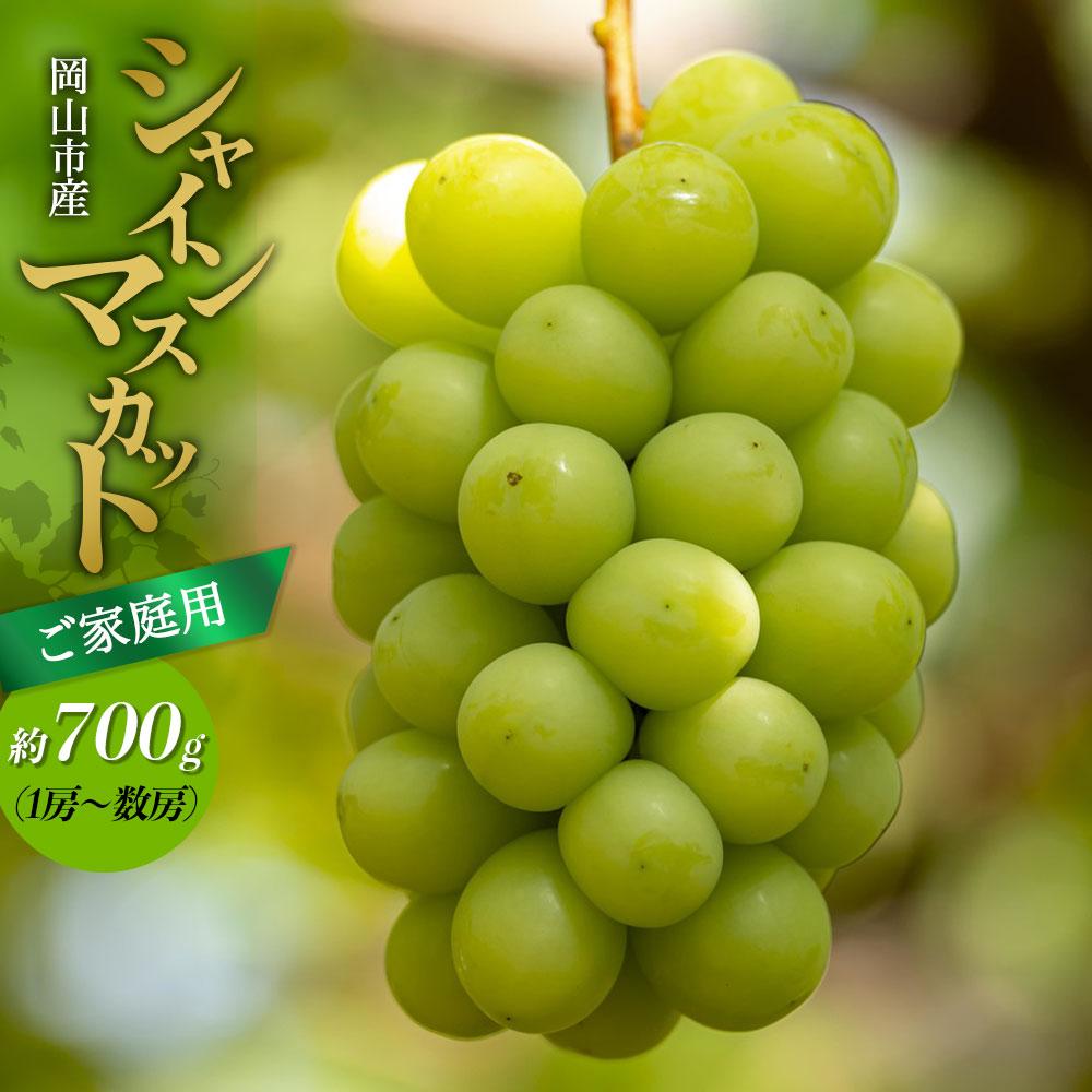 【ふるさと納税】ご家庭用 シャインマスカット 約700g（1房～数房） ぶどう フルーツ 果物 岡山 五果苑 | フルーツ 果物 くだもの 食品 人気 おすすめ 送料無料