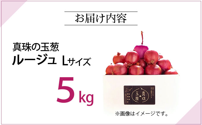 真珠の玉葱 ルージュ Lサイズ 5kg ＜海のミネラルで育てた赤玉葱＞｜玉ねぎ たまねぎ タマネギ 北海道産 岩見沢市【a134-011】