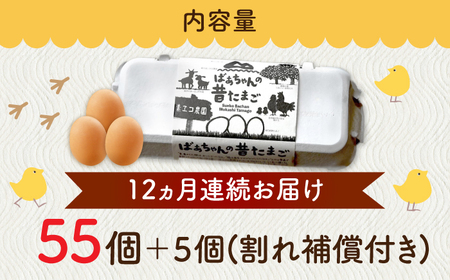 【全12回定期便】ばあちゃんの昔たまご 計720個（55個+5個×12回（割れ補償付き）） / 平飼い卵 / 佐賀県 / 素ヱコ農園[41AEAA012]