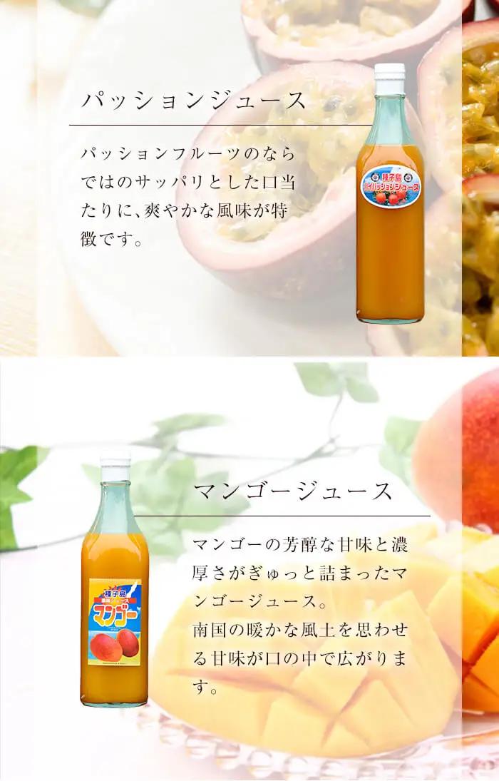 n027 パッション・マンゴー ジュース セット 合計2本・各500ml 鹿児島 種子島 希釈タイプ フルーツ 【菓心利休】