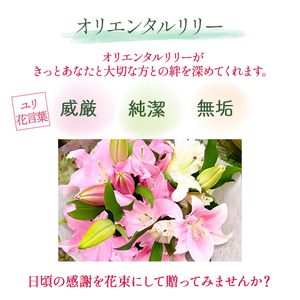 日頃の感謝を「花束」で、オリエンタルリリー【優品5本】／Osy-14