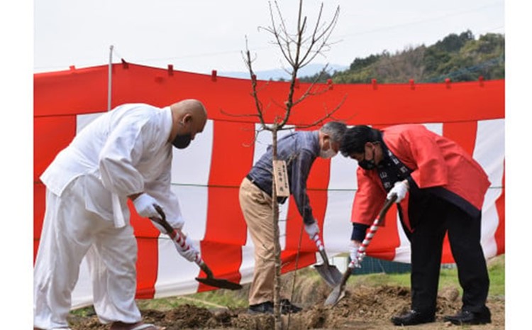 ひとつばたごの木 30年オーナー権【オーナー ひとつばたごの木 なんじゃもんじゃの木 白い花 植樹 花見】 J06-J069001