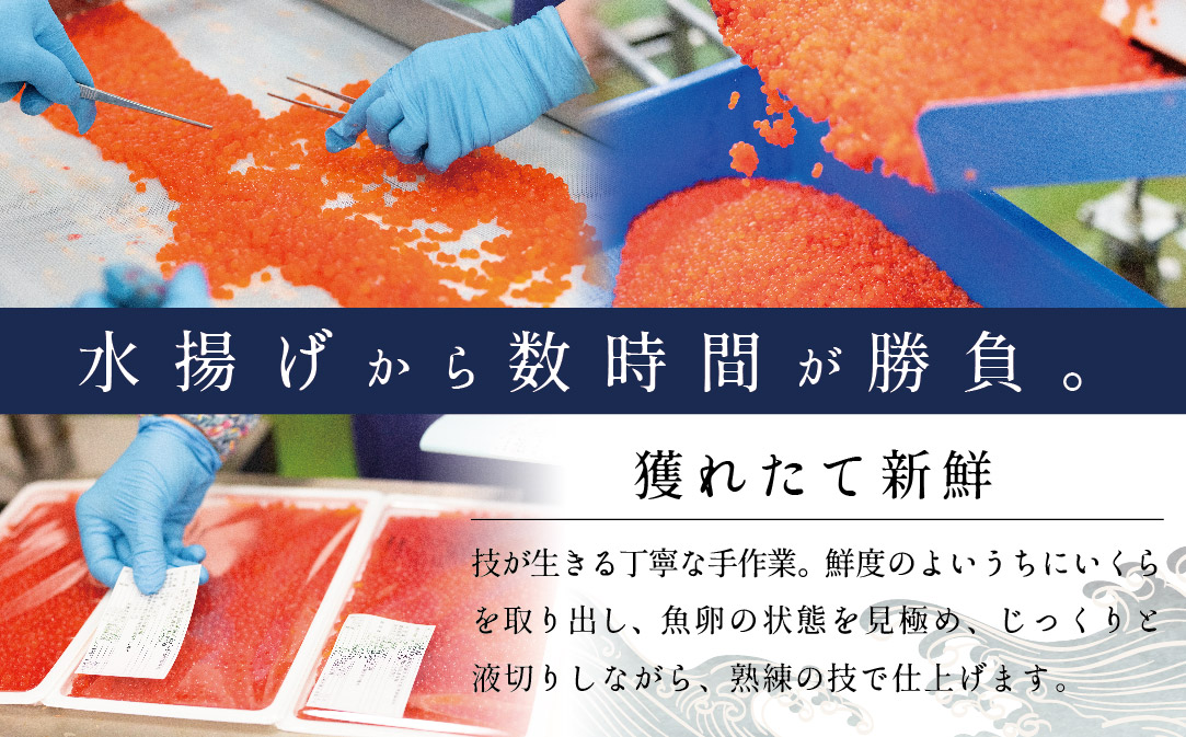 北海道産  鮭いくら醤油漬け500g いくら丼6〜8杯分！鱒（マス）ではなく、北海道産の鮭（サケ）のいくらです  ( イクラ いくら 鮭卵 いくら醤油漬け  イクラ醤油け 魚卵 国産 道産 )