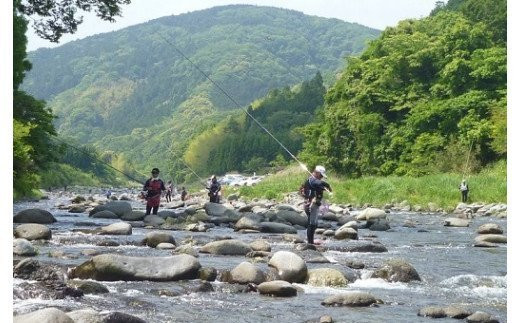 010-001　”清流”狩野川で育った冷凍「鮎」５本詰合せセット