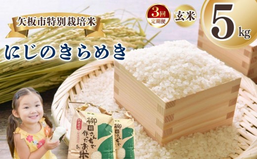 [定期便3回]矢板市特別栽培米 にじのきらめき 玄米 5kg | お米 米 こめ 白米 玄米 にじのきらめき コシヒカリ こしひかり 美味しい お弁当 選べる エコ スマート 環境 手間暇 土づくり  ふるさと 納税 栃木県 矢板市