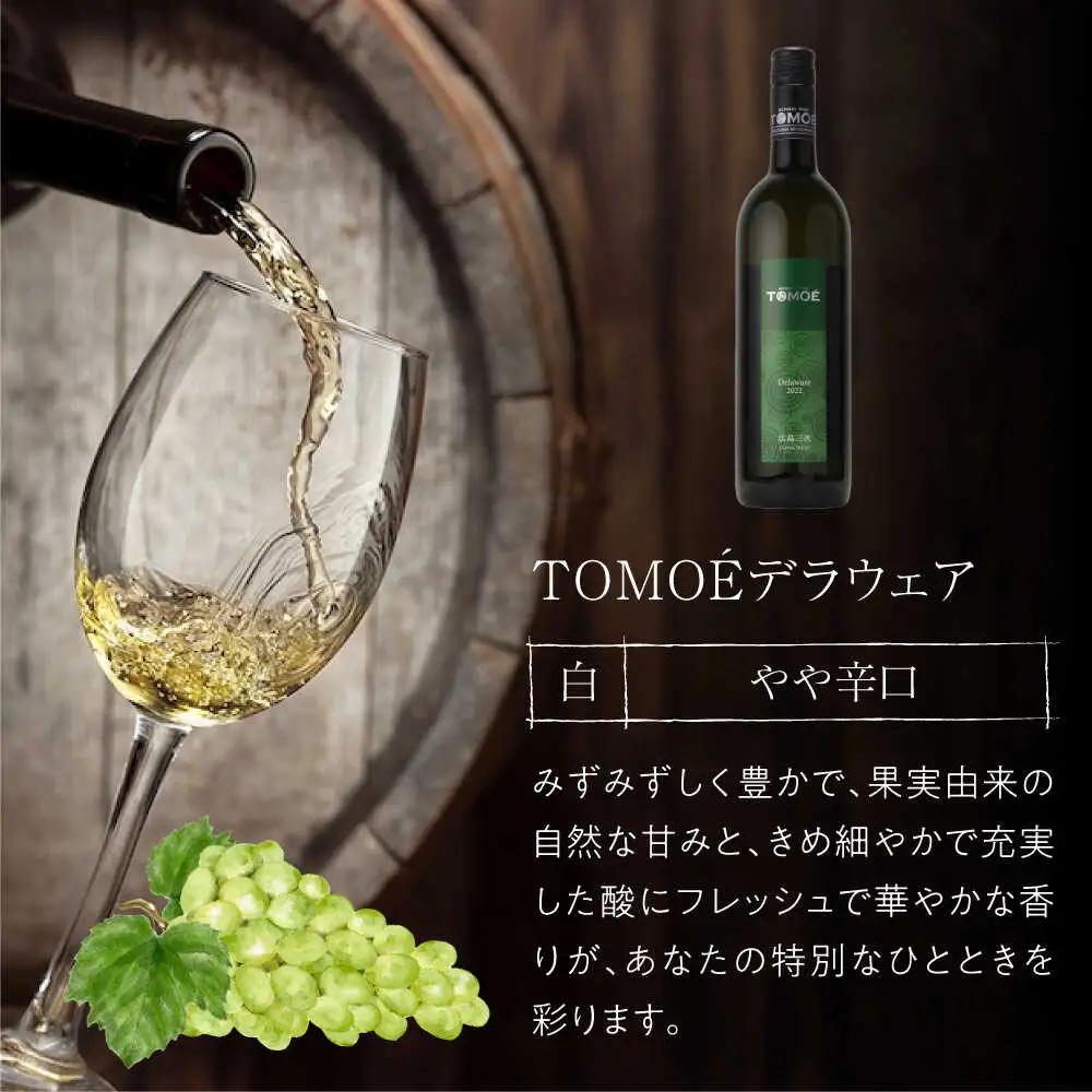 【スピード発送】TOMOEデラウェア 白ワイン 辛口 [APAZ001] 白ワイン