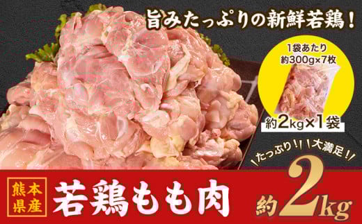 熊本県産 若鶏 もも肉 約2kg×1袋(1袋あたり約300g×7枚前後) たっぷり大満足！約2kg！《30日以内に出荷予定(土日祝除く)》熊本県 葦北郡 津奈木町 モモ もも 大容量