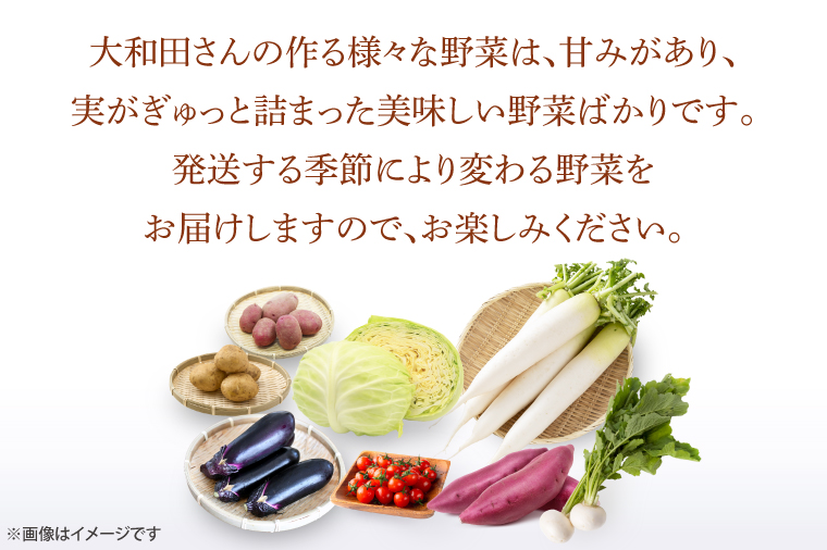 CN-7 【6ヶ月定期便】 夢見るじっちが作る季節の野菜セット 6～10種類入り1箱