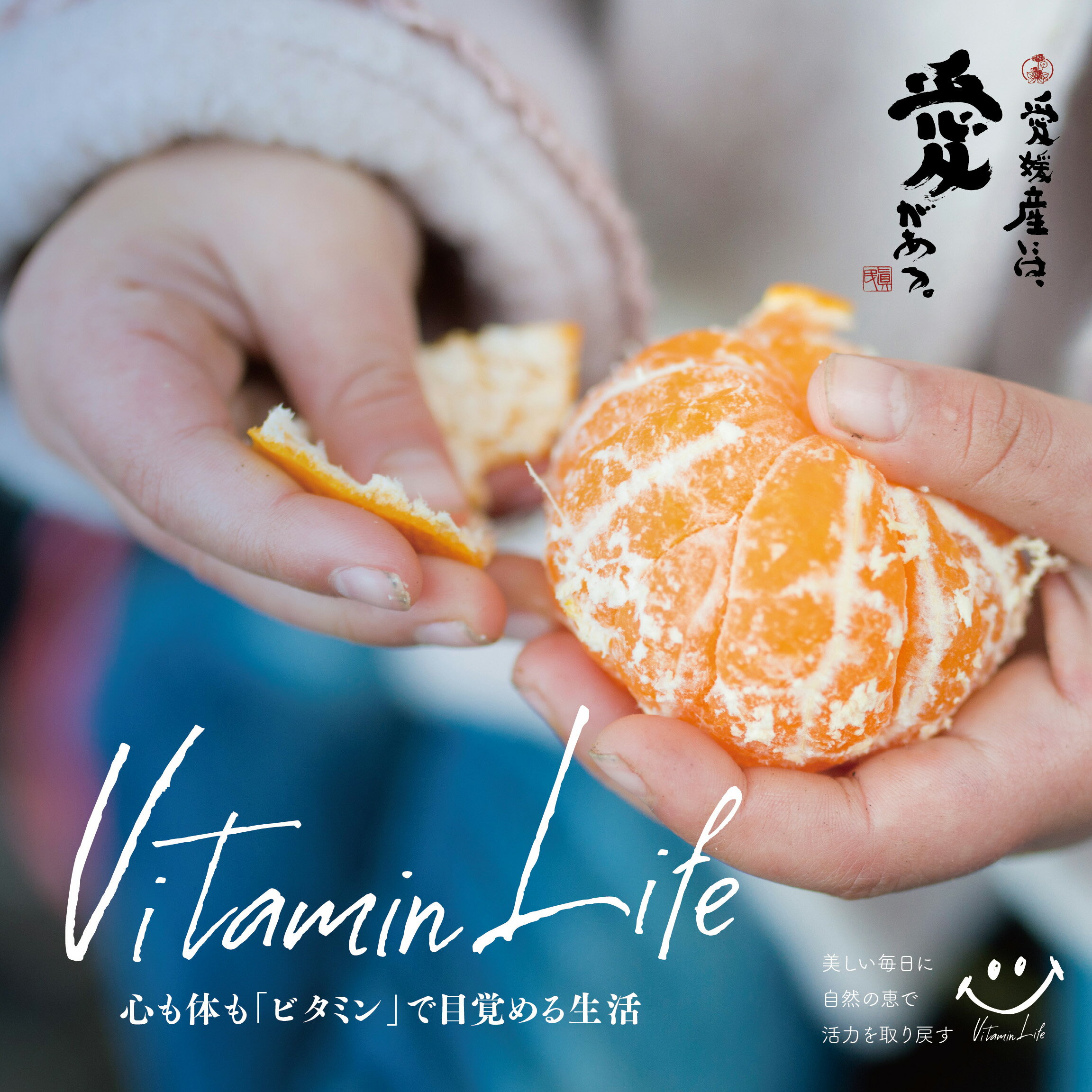 【ふるさと納税】【訳あり】星乃みかん園の甘平(3kg)【C45-88】_【1535971】