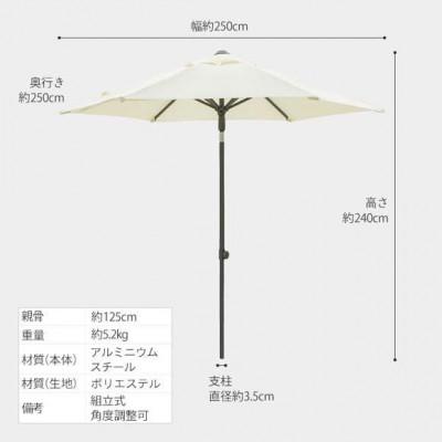 ふるさと納税 海南市 EGプッシュパラソル 2.5m オフホワイト　33065200 |  | 01