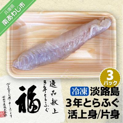 ふるさと納税 南あわじ市 【冷凍】淡路島3年とらふぐ(活上身/片身)3Pセット