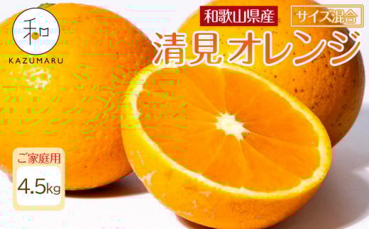 家庭用 森本農園の手選別 清見オレンジ 4.5kg 和歌山県産 サイズ混合 ［北海道・沖縄・離島配送不可］［RN22］［2026年2月上旬から5月中旬頃順次発送予定］