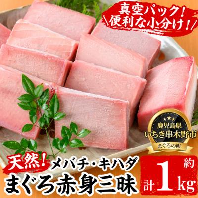 ふるさと納税 いちき串木野市 天然メバチマグロ・キハダマグロ各赤身 100g×5計約1kg