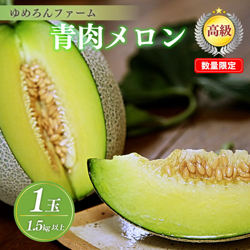 【ふるさと納税】【先行予約／数量限定100】ゆめろんファームの青肉メロン（2025年6月上旬～発送） 国産 高級メロン 贈答 贈答品 贈り物 ふるさと 納税 メロン 青肉 1玉 ふるさと 納税 先行予約 期間限定 ふるさと 納税 フルーツ くだもの 果物