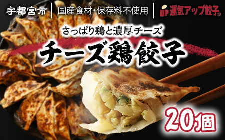 宇都宮餃子 運気アップ餃子  チーズ鶏餃子 18個 保存料不使用【 餃子 ぎょうざ 冷凍餃子 冷凍食品 惣菜 栃木県 宇都宮市 】※配送不可地域:離島