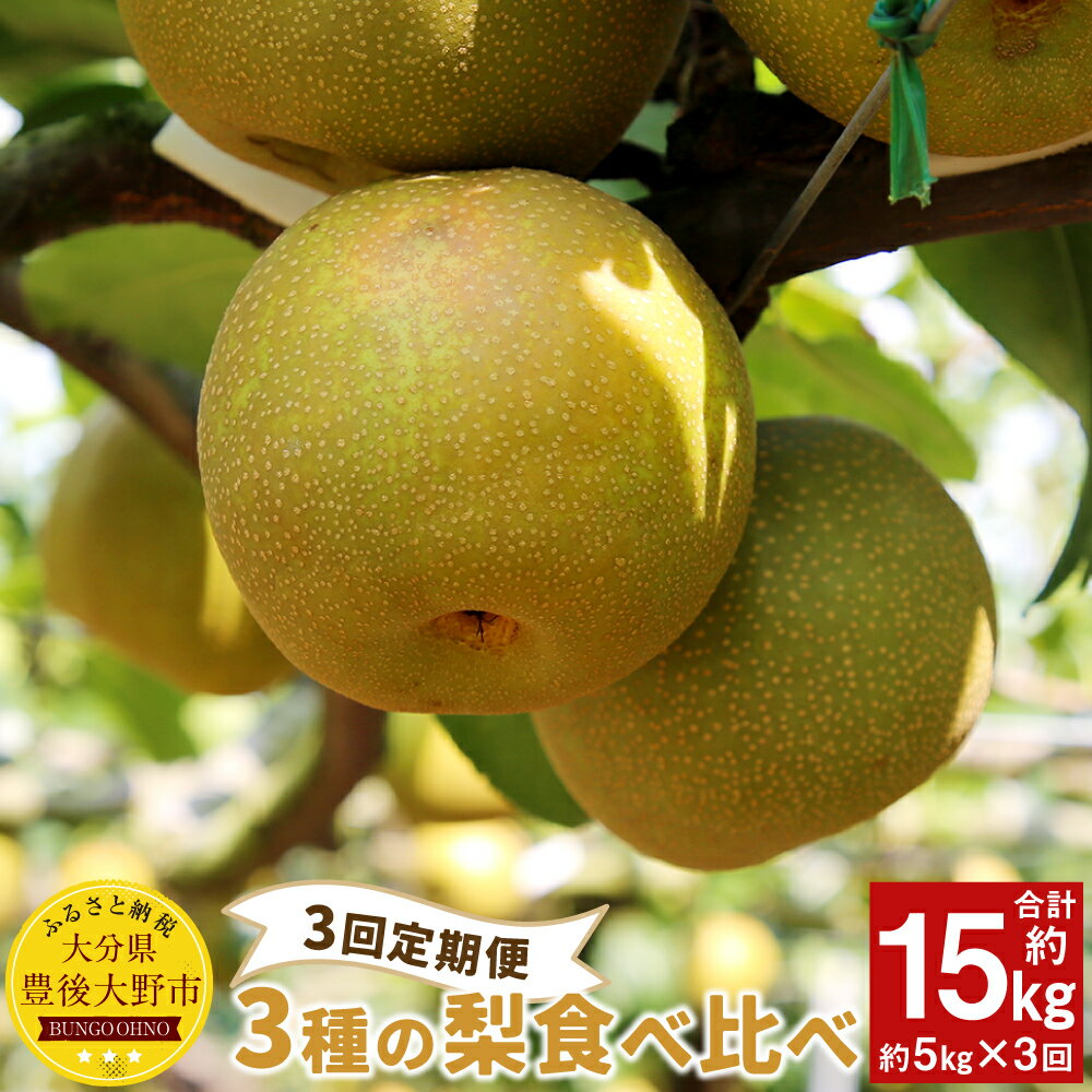 【ふるさと納税】【3回定期便】 3種の梨 食べ比べ 定期便 合計約15kg 豊水 新高 新興 あたご 梨 なし 果物 くだもの フルーツ 国産 九州 大分県 送料無料【2025年9月上旬発送開始】