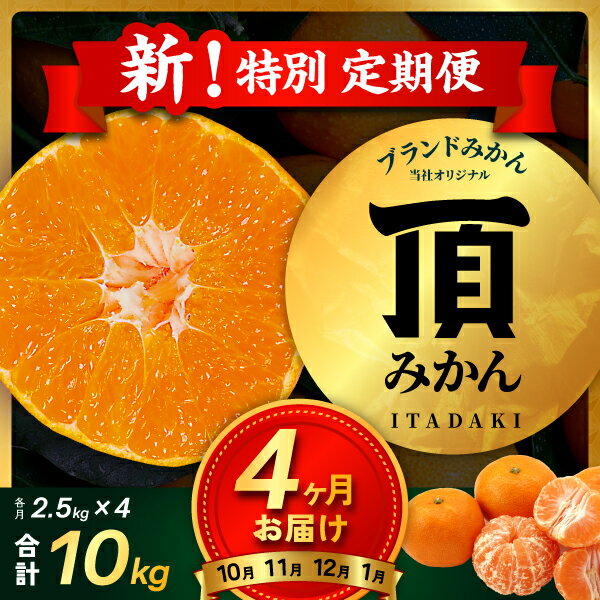 【ふるさと納税】【発送月固定定期便】【4ヶ月連続】旬ごとに味わいが変化!頂みかん 2.5kg【G31-58】全4回_【4073179】 YWTAC047