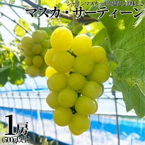 マスカット 500g 1房 マスカ サーティーン 小林農園 | 29M