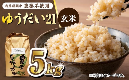 【新米 先行予約】栽培期間中農薬不使用 令和7年産 佐賀県産ゆうだい21 玄米5kg /鶴ノ原北川農園 [UDL024]