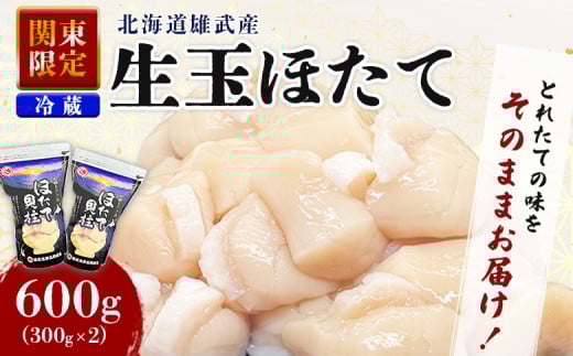 関東限定 生ほたて 期間限定 北海道雄武産 生玉ほたて 300g×2 塩水パック 冷蔵 | 配送地域限定 生ホタテ 新鮮 ホタテ 帆立 ほたて 大粒 生 生玉 冷蔵 塩水パック 塩水 未冷凍 オホーツク オホーツク産 オンライン 刺身 魚貝 魚介 海鮮 海産 海産物 魚介類 ふるさと納税  雄武町 雄武漁業協同組合 北海道【07151】