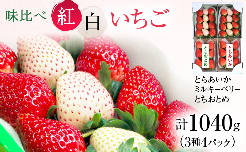 味くらべ紅白いちご 3種 4パック （3～5月発送） いちご 果物 フルーツ 苺 イチゴ くだもの とちあいか ミルキーベリー とちおとめ 朝取り 新鮮 美味しい 甘い