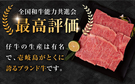 【お中元】壱岐牛 ロース 焼肉用 550g《壱岐市》【中津留】 焼肉 BBQ 牛肉 赤身 [JFS015] 33000 33000円