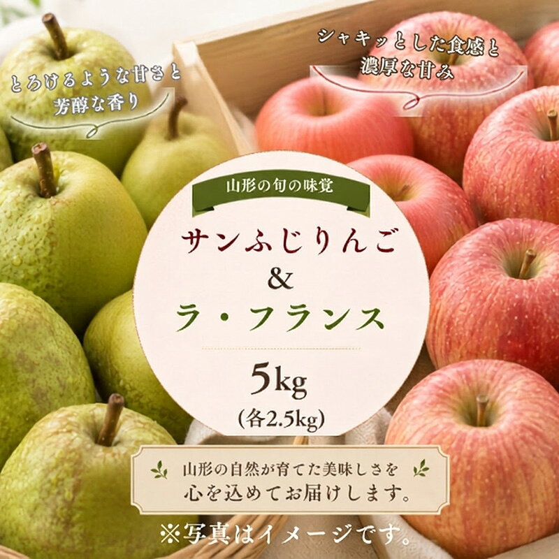 【ふるさと納税】山形産 サンふじ・ラ・フランス詰合せ 約5kg 秀品 (各2.5kg) FY26-225