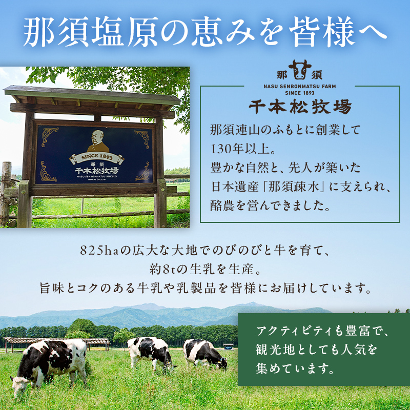 福袋セット（ミレピーニアイス12個セット）【千本松牧場】 ns025-014-12
