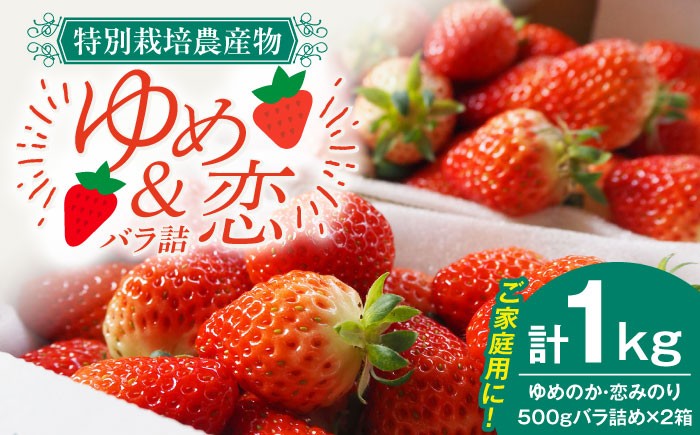 
                  いちご ゆめのか・恋みのり いちご 1kg（2種ミックス） いちご 苺 イチゴ 果物 フルーツ いちご 甘い ichigo strawberry イチゴ 生いちご 長崎県 壱岐市 10000 10000円 1万円【蒼花】[JEO002] お取り寄せいちご ゆめのか 甘い 赤い イチゴ 産地直送 こだわりいちご フレッシュ 家庭用 くだもの 旬 新鮮 いちご 春の味覚
                