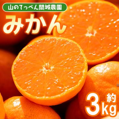 ふるさと納税 香南市 みかん3kg 糖度 人気 3キロ ジュース山のてっぺん間城農園 ms-0083