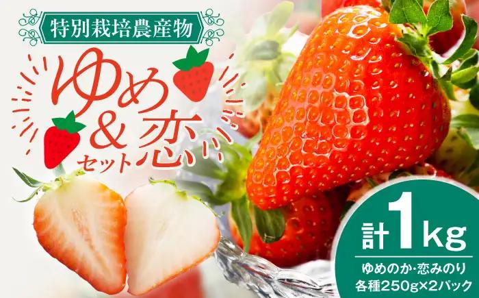 【先行予約】いちごセット（ゆめのか・恋みのり） [JEO001] 