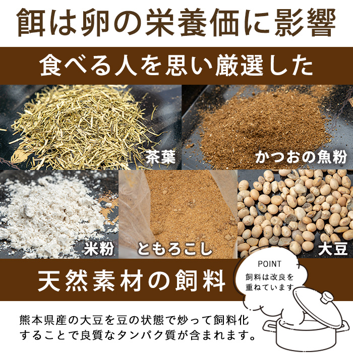No.779 ＜全6回・定期便＞鹿児島県産美山オリーブ卵(40個×6回連続) 【美山たまご王国】