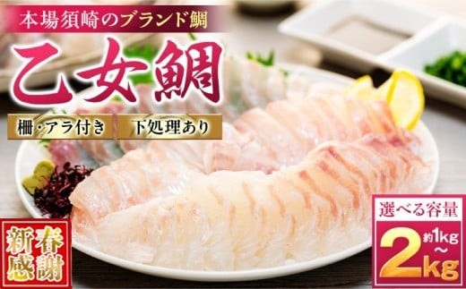 
                  【 スピード配送 】 真鯛 タイ お刺身 ( アラ付き ) 1kg ～ 2kg 【 乙女鯛 】  産地直送 冷蔵 新鮮 鮮魚 養殖 カマ 皮引き 柵 カマ アラ 鯛 たい タイ お食い初め 刺身 しゃぶしゃぶ 鯛しゃぶ 鍋 鯛めし 鯛茶漬け 出汁茶漬け 漬け カルパッチョ タタキ 炙り 塩焼き 煮込み 料理 小島水産 高知県 須崎市 KS037ALL
                