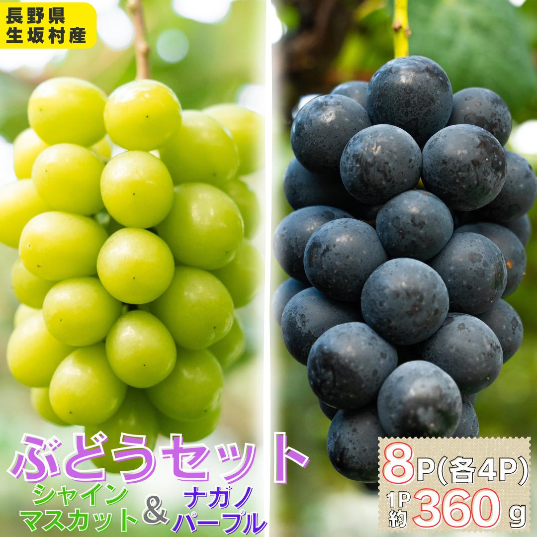 【ふるさと納税】シャインマスカット＆ナガノパープル　8パック（360g×8パック)