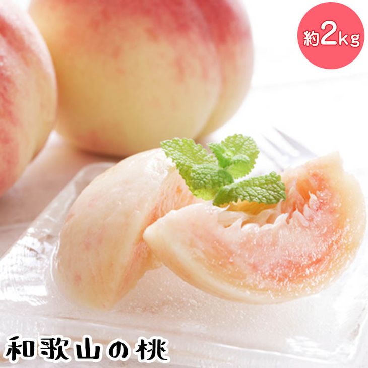 【先行予約】【夏の美味】フルーツ王国 和歌山の桃 約2kg 化粧箱入り | もも モモ 桃 国産 フルーツ 果物 果実 お取り寄せ ギフト デザート スイーツ 贈り物（fr-06）