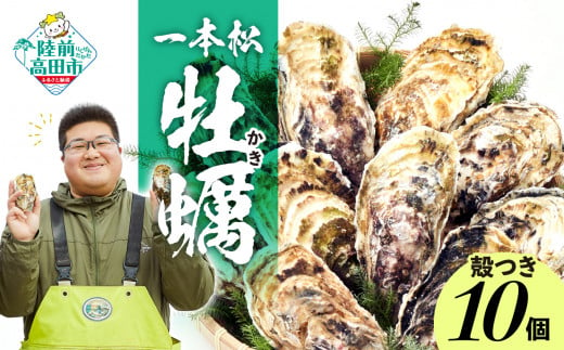 生食用 殻付き牡蠣 10個 セット『一本松牡蠣』  【 天然 牡蠣 かき 殻付き 生食 大粒 人気 旬 産地直送 国産 陸前高田 三陸産 広田湾産 気仙町 】