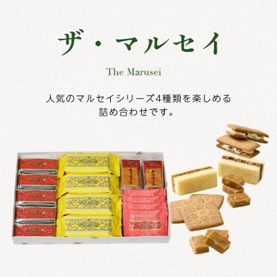 【毎月定期便】六花亭セレクション ( 六花撰 ザ・マルセイ )全2回【配送不可地域：離島】【4060105】