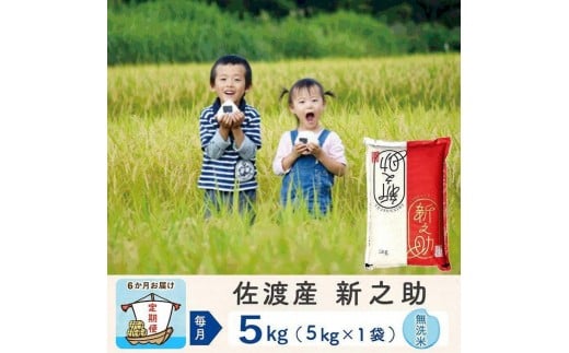 
                  【6か月定期便】佐渡島産 新之助 無洗米5Kg 令和7年
                