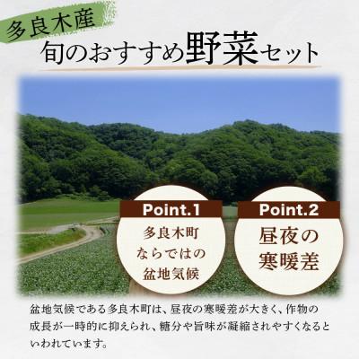 ふるさと納税 多良木町 【毎月定期便】野菜ソムリエ監修 旬のおすすめ野菜セット 4〜6品(1〜2名様向け)全12回 |  | 01