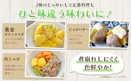 インカのめざめ 5kg じゃがいも 飯山農場《9月中旬-3月上旬頃出荷》芋 ジャガイモ 野菜 送料無料 北海道 浦幌町 