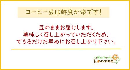 《焙煎直送》お家Cafeセット (焙煎コーヒー3種 計560g)｜コーヒー豆 [1193]