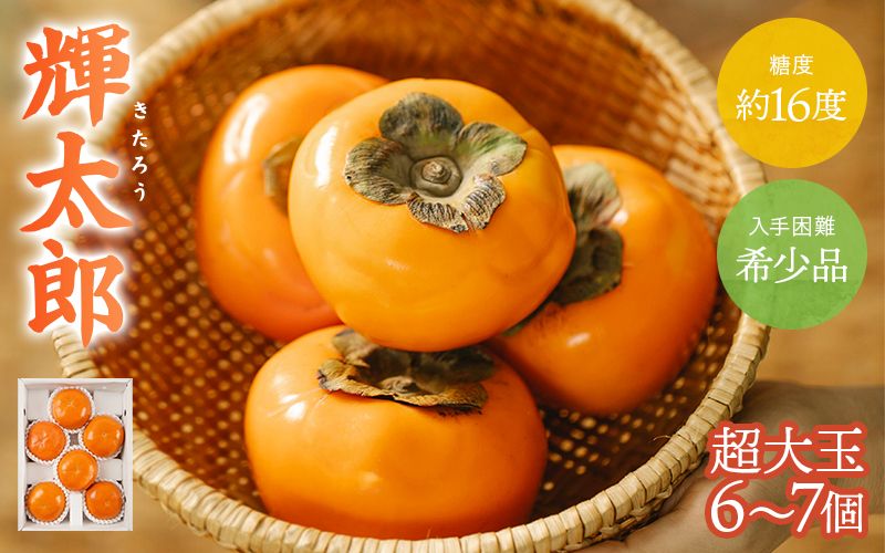 希少な柿【輝太郎】大玉6個～7個 コクのある甘さ！こだわり農家厳選 【2026年9月末～10月末頃に順次発送予定】/ 柿 かき 果物 フルーツ 輝太郎 デザート おやつ 和菓子 菓子 お菓子 和歌山産 和歌山県産【kgr018】
