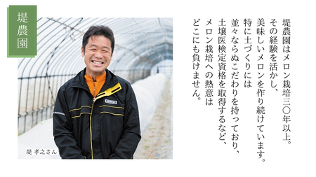 先行予約 タカミ メロン 秀品 1箱 2玉 入り 【 6月中旬 以降発送】  期間限定 産地直送 果物 フルーツ メロン 青肉 甘い [AV010ya]