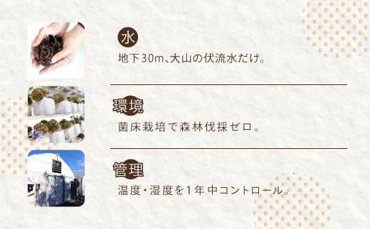 お届け内容