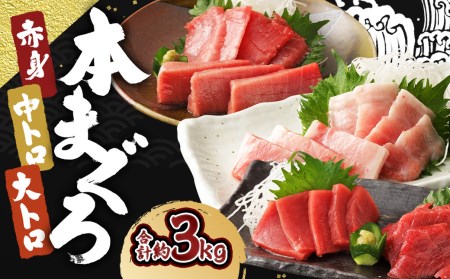 長崎県産 本マグロ3種盛り「大トロ・中トロ・赤身」約3kg【大村湾漁業協同組合】