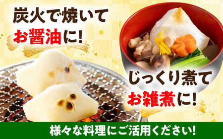 農家がつくった杵つきもち 切り餅 角餅 2kg （小分包装 / 500g×4袋） きねふりもち使用 瑞浪市 / 農事組合法人日吉機械営農組合 白餅 お餅 岐阜県産 国産 期間限定[AZBW004]