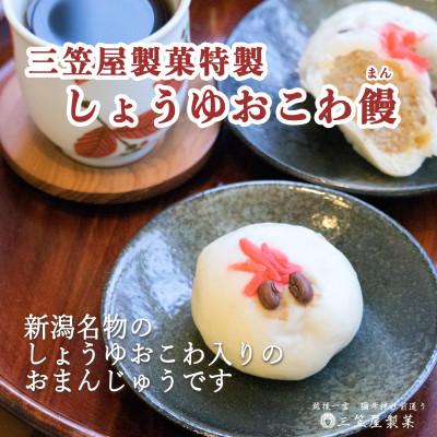 ふるさと納税 弥彦村 【弥彦名物】きんぴらだんごとしょうゆおこわ饅の詰合せ(12個入り) |  | 02