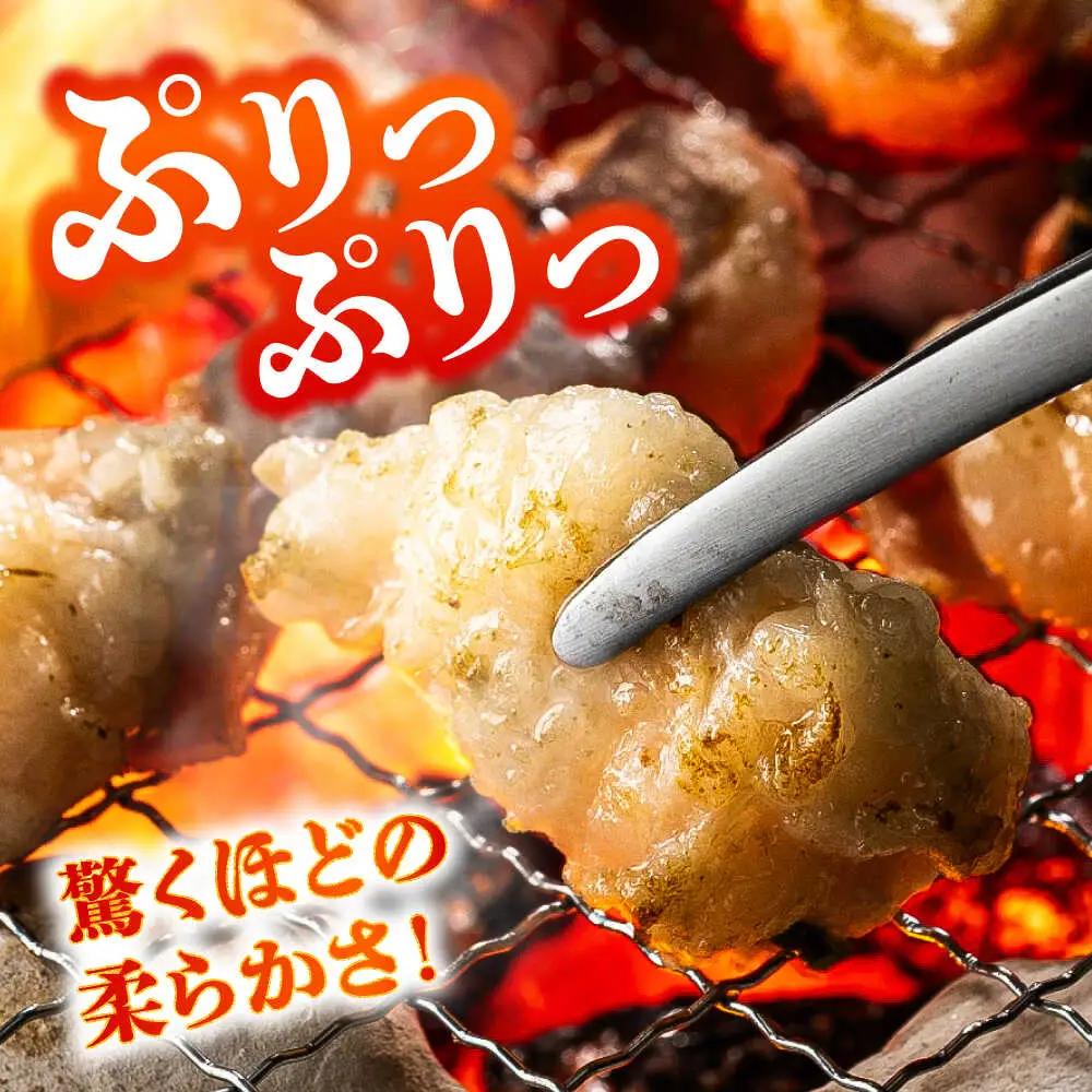 全6回定期便 あか牛白 ホルモン 約500g ホルモン BHCY011