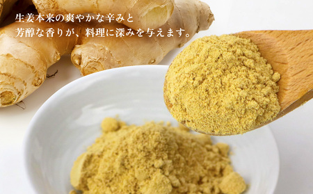 【きたなか荘】しょうがパウダー 40g×4袋 しょうが パウダー ジンジャー しょうが湯 生姜 粉末 調味料 弁当 家庭料理 温かい飲み物 簡単 料理 手軽 お取り寄せ 調味料 安心 安全 おきなわ 